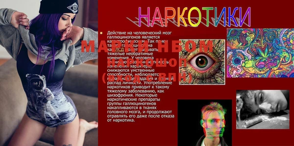 прущая мука Новодвинск