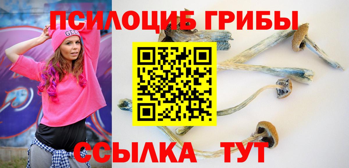 Галлюциногенные грибы MAGIC MUSHROOMS  Псилоцибиновые грибы GOLDEN TEACHER  сколько стоит  Серпухов 