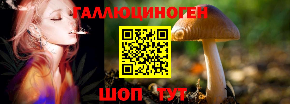 Псилоцибиновые грибы Magic Shrooms  Вход с VPN  Псилоцибиновые грибы GOLDEN TEACHER  Серпухов 